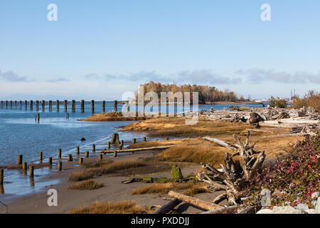 Autunno scena lungo le rive del fiume Fraser nei pressi di Steveston, British Columbia Foto Stock