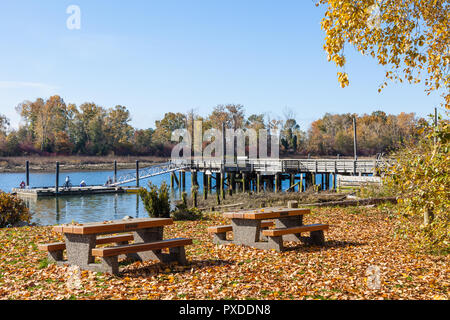 Autunno scena lungo le rive del fiume Fraser nei pressi di Steveston, British Columbia Foto Stock