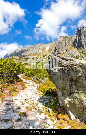 Escursionismo in Alti Tatra (Vysoke Tatry), Slovacchia. Mlynicka Valley. Sulla strada per Skok cascata (1789m) (slovacco: Vodopad Skok). Soleggiato d autunno Foto Stock