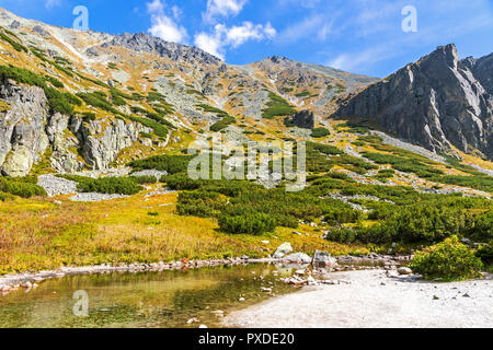 Escursionismo in Alti Tatra (Vysoke Tatry), Slovacchia. Mlynicka Valley. Sulla strada per Skok cascata (1789m) (slovacco: Vodopad Skok). Soleggiato d autunno Foto Stock