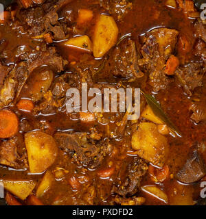 Close-up di colorati stufato di capra con patate, carote, cipolle, la foglia di alloro e altre spezie. Foto Stock