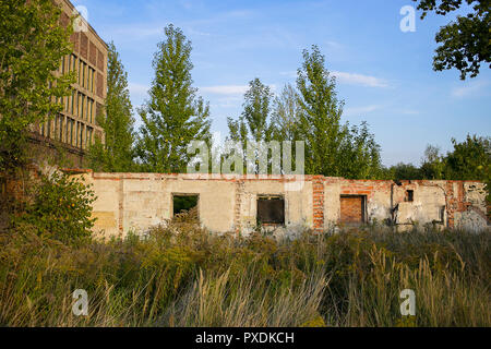 Abbandonato edificio rovinato sta lentamente scomparendo tra la vegetazione sovradimensionate Foto Stock