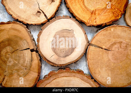 Invecchiato, incrinato in legno, circolare di sezione ad albero con anelli Foto Stock