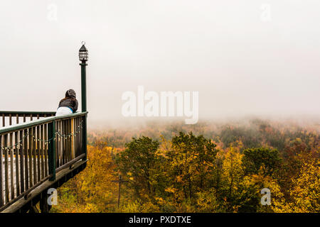 Hogback Mountain Regali   Wilmington, Vermont, USA Foto Stock