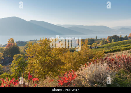 Banco Naramata, Lago Okanagan e montagne paesaggio con i colori dell'autunno Foto Stock