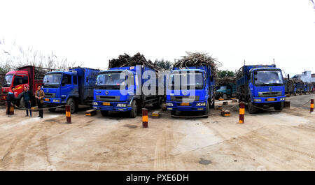 (181022) -- PECHINO, Ott. 22, 2018 (Xinhua) -- camion attendere per scaricare la canna da zucchero al di fuori di un mulino per lo zucchero a Hemu township di Miao contea autonoma di Rongshui, sud della Cina di Guangxi Zhuang Regione autonoma, Gennaio 24, 2018. La Cina del trasporto merci su strada continua espansione veloce nei primi nove mesi del 2018, il ministero dei Trasporti ha detto in una dichiarazione 20 ott. 2018. Da gennaio a settembre, la quantità di merci trasportate su strada, che occupa la parte del leone in Cina totale del trasporto merci, aumento del 7,5 per cento anno su anno di 28,64 miliardi di tonnellate. La crescita è venuto nel mezzo della Cina di costante Foto Stock