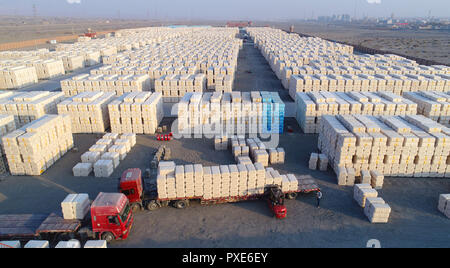 (181022) -- PECHINO, Ott. 22, 2018 (Xinhua) -- carico dei lavoratori del cotone sgranato in un camion in Tiemenguan, a nord-ovest della Cina di Xinjiang Uygur Regione autonoma, nov. 30, 2017. Circa 106 migliaia di tonnellate di cotone sgranato sarebbero trasportati in altri provincia da qui. La Cina del trasporto merci su strada continua espansione veloce nei primi nove mesi del 2018, il ministero dei Trasporti ha detto in una dichiarazione 20 ott. 2018. Da gennaio a settembre, la quantità di merci trasportate su strada, che occupa la parte del leone in Cina totale del trasporto merci, aumento del 7,5 per cento anno su anno di 28,64 miliardi di tonnellate Foto Stock