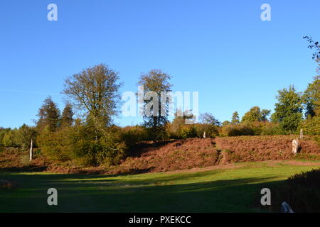 In autunno, metà ottobre 2018 presso la Knole, Sevenoaks, Kent, Inghilterra, Regno Unito. Bel tempo. Casa storica e del parco. Di proprietà di re, regine, Arcivescovi Foto Stock