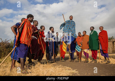 Maasai jumping cerimonia (Adamu) al cratere di Ngorongoro in Tanzania Foto Stock