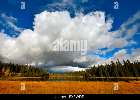 Un'immagine di paesaggio autunnale del lago Maxwell in Hinton Alberta Canada con una grande nuvola puntato sopra le acque calme del lago. Foto Stock