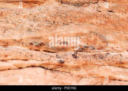 Primo piano di una luce arancione/rosso/bianco parete di roccia con crepe e righe, nel deserto vicino al lago di Meredith, Texas, Stati Uniti d'America Foto Stock