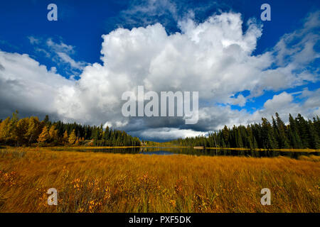 Un'immagine di paesaggio autunnale del lago Maxwell in Hinton Alberta Canada con una grande nuvola puntato sopra le acque calme del lago. Foto Stock