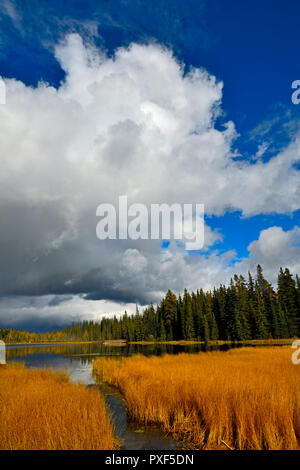 Una caduta verticale immagine di panorama del lago di Maxwell a Hinton Alberta in Canada con una grande nuvola in bilico sopra la calma le acque del lago. Foto Stock