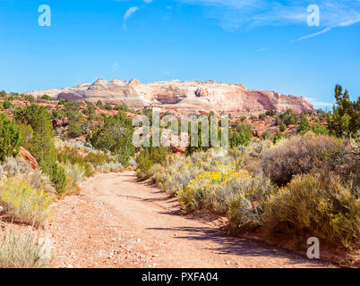 A partire l'escursione verso il basso passa filo a filo Pass sentiero nella soleggiata giornata autunnale, Paria Canyon-Vermilion scogliere deserto vicino al Utah-Arizona bord Foto Stock