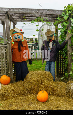 Carino scarecrows permanente e due zucche nella parte anteriore del contenitore in una fattoria - Ontario, Canada Foto Stock