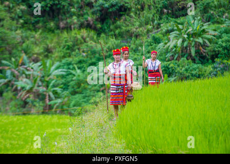 Donne della minoranza Ifugao vicino ad una risaia a Banaue nelle Filippine Foto Stock