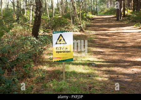 Telecamere TVCC in operazione segno avviso nella piantagione forestale, Rendlesham Forest, Suffolk, Inghilterra, Regno Unito Foto Stock