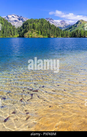 L'acqua chiara a lago Cavloc, Forno Valley, Maloja Pass, Engadina, Grigioni, Svizzera, Europa. Foto Stock