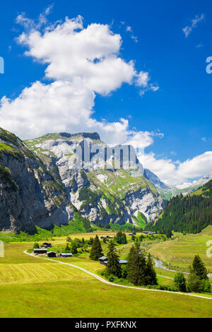 Vista in elevazione della Val Bargis valle in estate. Flims, Distretto di Imboden del Cantone dei Grigioni, Svizzera, Europa Foto Stock