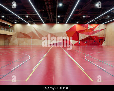 Sala principale in campo sportivo modalità. Pridham Hall, Adelaide, Australia. Architetto: Snøhetta e JPE Design Studio, 2018. Foto Stock