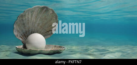 Pearl in un guscio di ostrica nell'acqua, sul fondo del mare, banner, copia dello spazio. 3d illustrazione Foto Stock