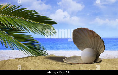 Pearl in un guscio di ostrica su una spiaggia sabbiosa tropicale. 3d illustrazione Foto Stock