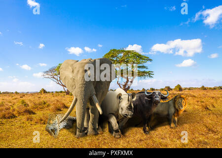 African Big Five: Leopard, elefante, il rinoceronte nero, Buffalo e leone nella savana paesaggio. Africa safari scena con animali selvatici. Spazio di copia con il blu del cielo. Sfondo della fauna selvatica. Foto Stock