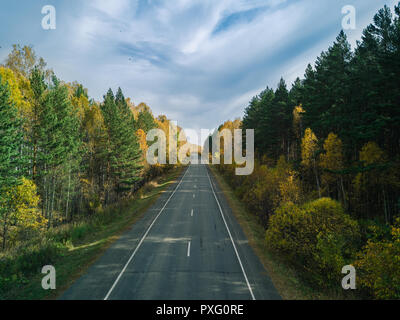 Vuoto autunno rurale road con un luminoso bosco misto; drone vista dall'alto di evegreen pine e golden betulle alberi; foresta pattern con linee stradali e Foto Stock