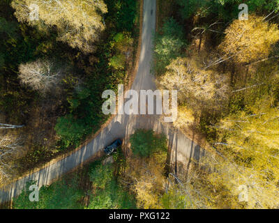 Svuotare strada d'autunno con un luminoso bosco misto; drone vista dal di sopra della sempreverde Pino e golden betulle alberi; foresta pattern con linee stradali e shado Foto Stock
