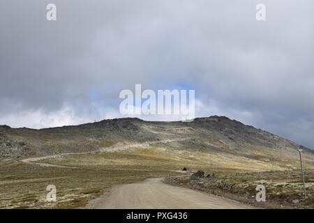 Norwegen, Tron, Tronfjell, Alvdal, Mittente, Berg, Gipfel, Straße, Schotterstraße, Maut, Mautstraße, Islandmoos, Fluss, Glåma, Hedmark, Tal, Østerdalen, Foto Stock