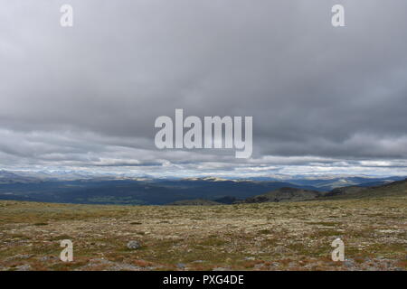 Norwegen, Tron, Tronfjell, Alvdal, Mittente, Berg, Gipfel, Straße, Schotterstraße, Maut, Mautstraße, Islandmoos, Fluss, Glåma, Hedmark, Tal, Østerdalen, Foto Stock