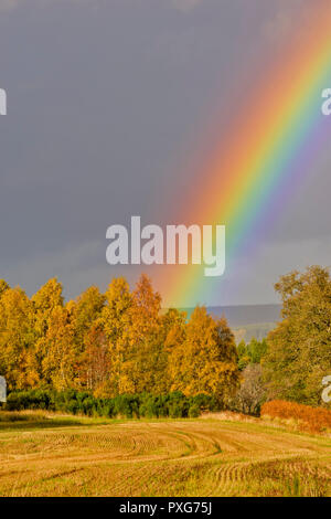 Giorni di autunno SUNSHINE su alberi autunnali e campo di stoppie con un arcobaleno Foto Stock