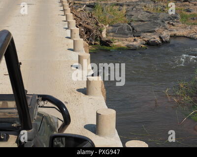 Giant Kingfisher sul pesce persico del ponte stradale in Sud Africa Foto Stock