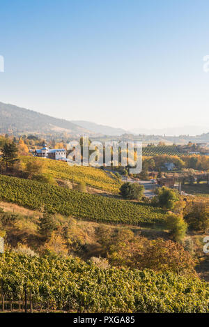In autunno il paesaggio di dolci colline e vigneti sul banco Naramata nella Okanagan Valley Foto Stock