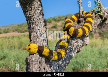 Maglia falsa snake appeso nel tronco di albero sulla giornata di sole Foto Stock