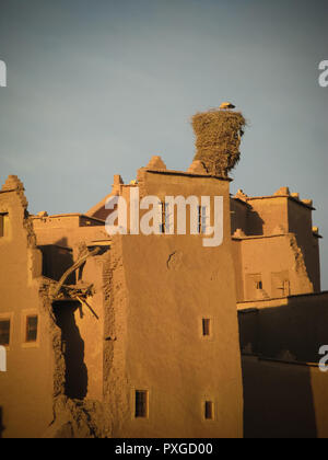 Vista di Ouarzazate città vecchia aka kasbah e gru nest in Marocco Foto Stock