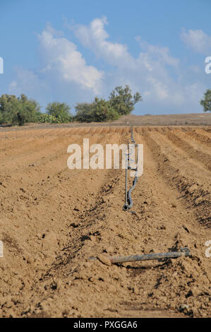 Fissa irrigatori irrigazione prevista in un campo arato. Fotografato in Israele Foto Stock