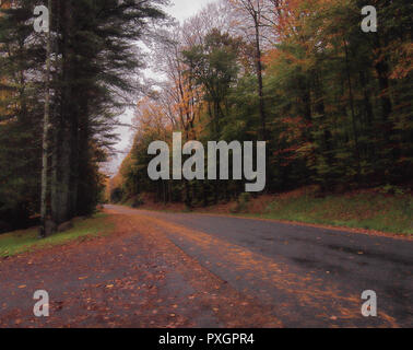 Strada remota nelle Montagne Adirondack, dello Stato di New York Foto Stock