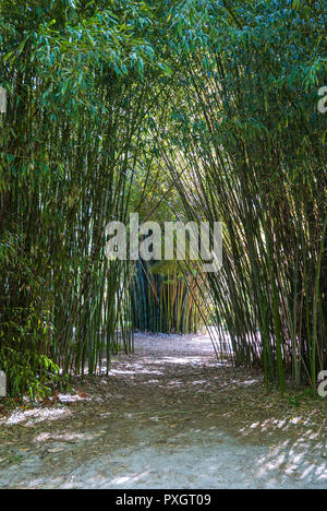 Spring Garden festival in North Florida--Wong Chuk forme di bambù Una bella archway in questo giardino. Foto Stock