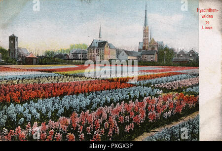 Report di mercato illustrati - Foto Stock