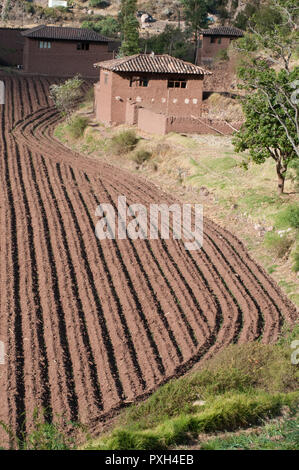 Nella fertile campagna attorno a Ollantaytambo Foto Stock