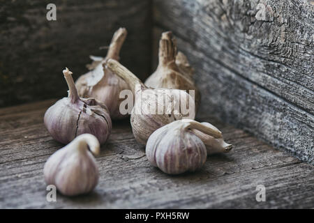 Alcune teste di aglio in una scatola di legno Foto Stock