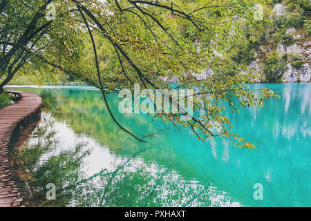 Numerose cascate di uno dei più straordinari laghi di Plitvice, Croazia. Una vera vergine e meraviglioso pezzo di natura. Foto Stock