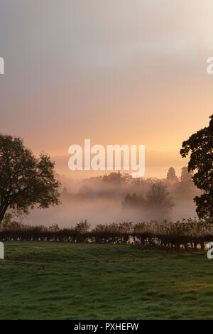 La nebbia e la nebbia a sunrise ribaltamento la campagna intorno al villaggio Costwold di macellazione inferiore in autunno. Cotswolds, Gloucestershire, Inghilterra Foto Stock