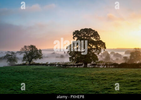 La nebbia e la nebbia a sunrise ribaltamento la campagna intorno al villaggio Costwold di macellazione inferiore in autunno. Cotswolds, Gloucestershire, Inghilterra Foto Stock