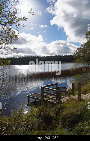 Vista panoramica sul lago Meenameen del Lough Navar Forest in Co. Fermanagh, Irlanda del Nord Foto Stock