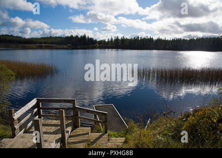 Vista panoramica sul lago Meenameen del Lough Navar Forest in Co. Fermanagh, Irlanda del Nord Foto Stock