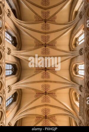 Il soffitto a volta della navata nel medievale del XII secolo Cattedrale di Wells, pozzi, Somerset, Regno Unito Foto Stock