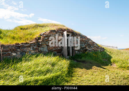 Una radice cantina di Elliston, Terranova. Foto Stock