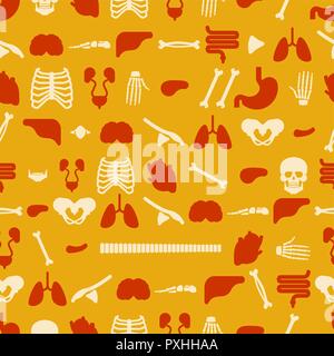 Anatomia umana senza giunture di pattern. Scheletro e organi interni dello sfondo. Sistemi del corpo uomo e organi ornamento. medical systems texture. vettore illu Illustrazione Vettoriale